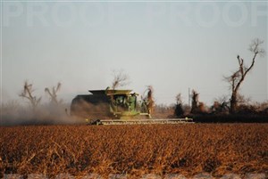 41124_large