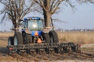 41125_large