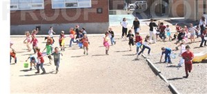 41133_large