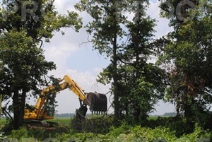 41165_large